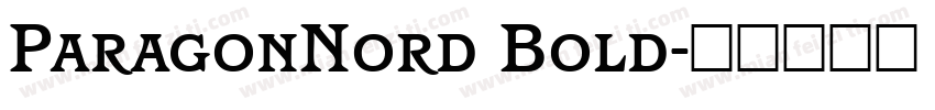 ParagonNord Bold字体转换